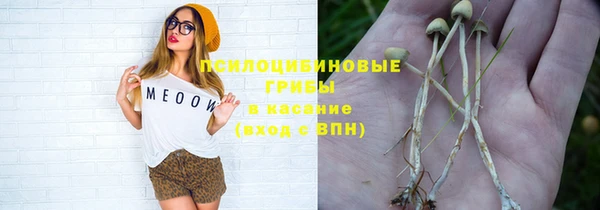 сатива Алексин