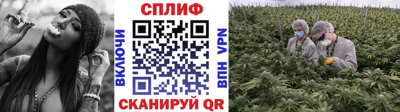 МАРИХУАНА сатива  Евпатория 